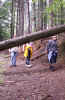 PICT0014.JPG (582771 Byte)