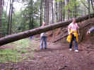 PICT0015.JPG (517540 Byte)