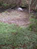 PICT0019.JPG (506521 Byte)