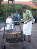 grillen1.jpg (100393 Byte)